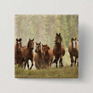 Macaron Carré 5 Cm Chevaux cresting petite colline pendant la rafle