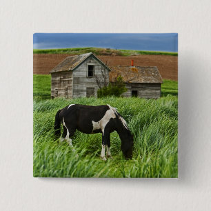 Macaron Carré 5 Cm Chevaux dans un champ dans la Palouse 2