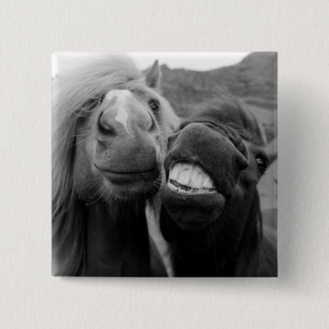 Macaron Carré 5 Cm Chevaux de sourire des images | de Getty (Devant)