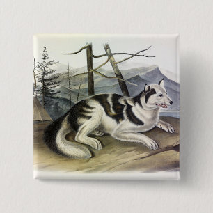 Macaron Carré 5 Cm Chien d'Amérique (Chien du fleuve Mackenzie) par A