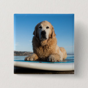Macaron Carré 5 Cm Chien de golden retriever s'étendant sur un