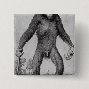Macaron Carré 5 Cm Chimpanzé, 1699