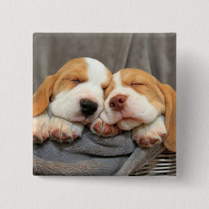 Macaron Carré 5 Cm Chiots somnolents