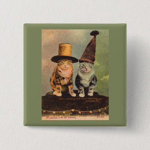 Macaron Carré 5 Cm circa 1900 chats en RPPC casquette