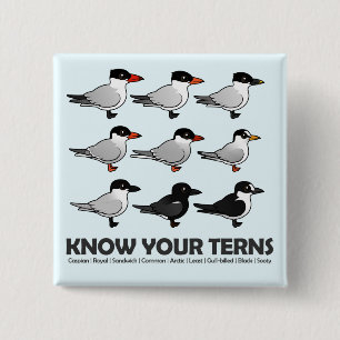 Macaron Carré 5 Cm Connaissez vos sternes