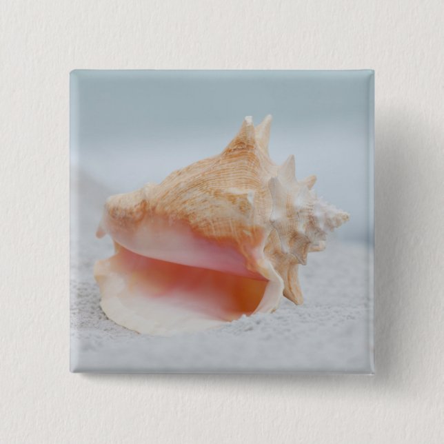 Macaron Carré 5 Cm Conque Shell (Devant)