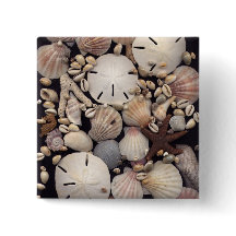 Coquilles