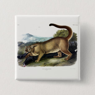 Macaron Carré 5 Cm Cougar ou Puma, Panther, Lion de montagne, Montagn
