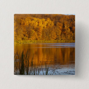 Macaron Carré 5 Cm Couleurs d'automne dans le parc d'état de Maplewo