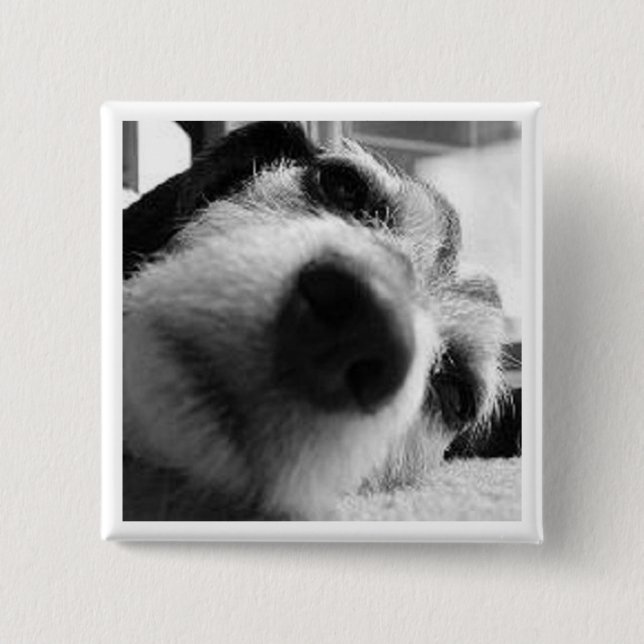 Macaron Carré 5 Cm Couverture rétrospective (Devant)