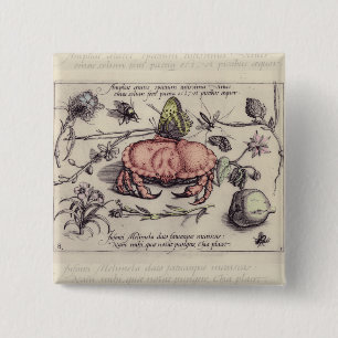 Macaron Carré 5 Cm Crab Botanical Insect Flower Illustration