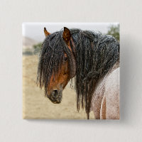 Crinière de cheval
