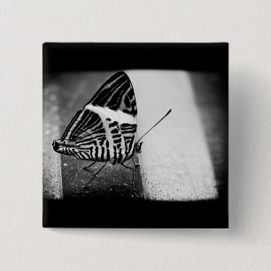 Macaron Carré 5 Cm croisement de papillon