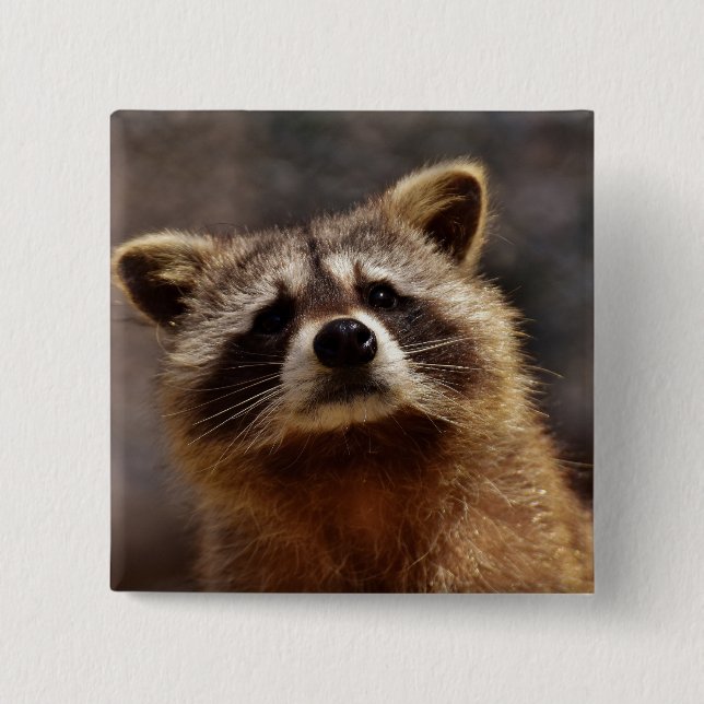 Macaron Carré 5 Cm Curieux Photo Raccoon (Devant)