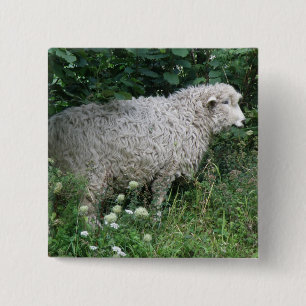 Macaron Carré 5 Cm Cute Greedy Sheep Eating Button