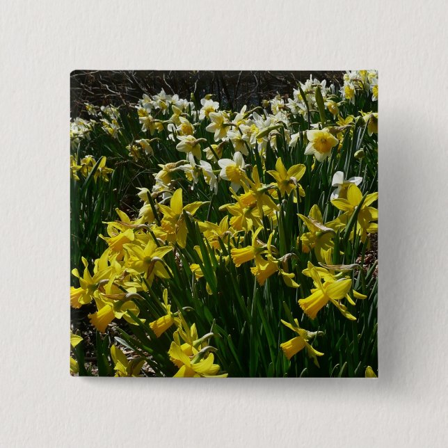 Macaron Carré 5 Cm Daffodiles jaunes et blancs Fleurs de printemps (Devant)