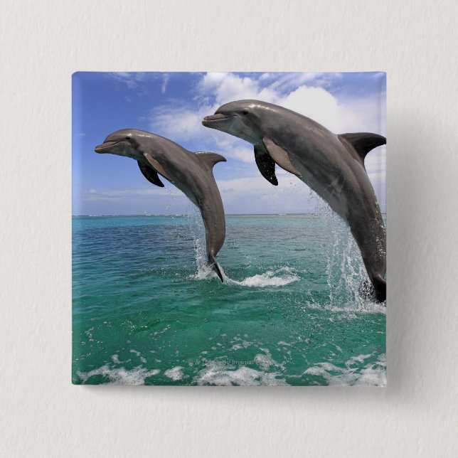 Macaron Carré 5 Cm Delfin (Devant)