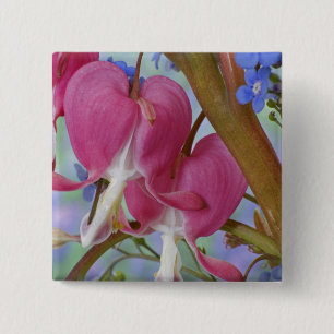 Macaron Carré 5 Cm Détail des coeurs saignants et Brunnera Jack