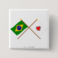 Drapeaux croisés du Brésil et du Minas Gerais