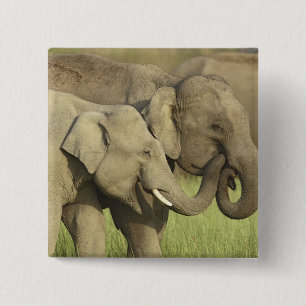 Macaron Carré 5 Cm Éléphants d'Asie indiens