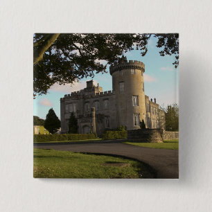Macaron Carré 5 Cm En Irlande, l'entrée latérale du château de Dromol