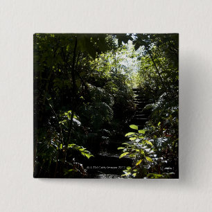 Macaron Carré 5 Cm Escalier/sentier piéton rustiques dans la forêt,