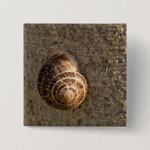 Macaron Carré 5 Cm Escargot