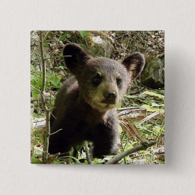 Macaron Carré 5 Cm Espérez le bouton d'ours (Devant)