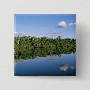 Macaron Carré 5 Cm État du Mato Grosso, Amazonie, Brésil. Forêt