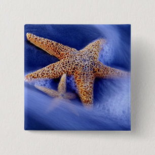 Macaron Carré 5 Cm États-Unis, Caroline du Sud, Hilton Head Island.De