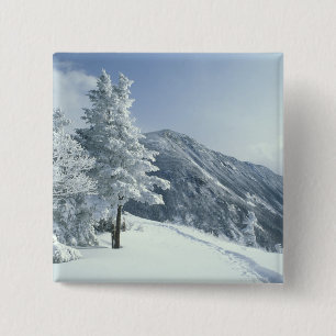 Macaron Carré 5 Cm États-Unis, NH, Arbres couverts de neige Sentiers 