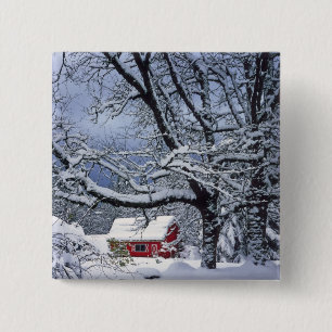 Macaron Carré 5 Cm États-Unis, Oregon, comté de Clackamas. Envelopp