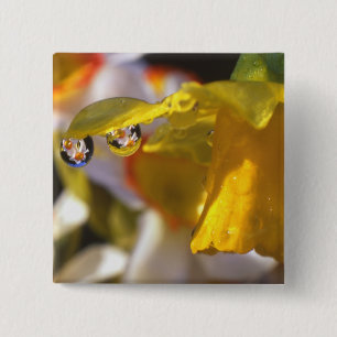 Macaron Carré 5 Cm États-Unis, Oregon, comté de Multnomah, proximit