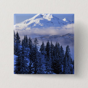 Macaron Carré 5 Cm États-Unis, Oregon, Forêt nationale de Deschutes,