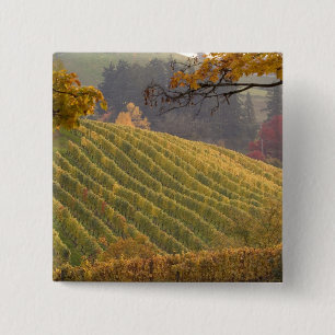 Macaron Carré 5 Cm États-Unis, Oregon, Newberg. Vignoble en automne.