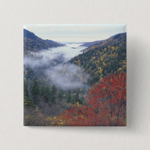 Macaron Carré 5 Cm États-Unis, Tennessee, Great Smokey Mountains Nati