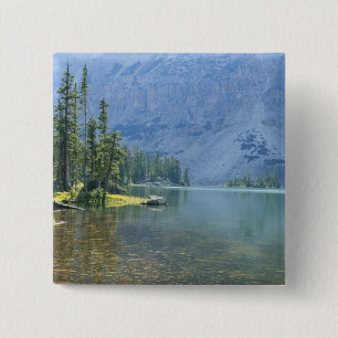 Macaron Carré 5 Cm États-Unis, Utah, Forêt nationale d'Ashley, Haute-