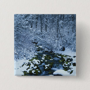 Macaron Carré 5 Cm États-Unis, Utah, forêt nationale de Wasatch-Cat