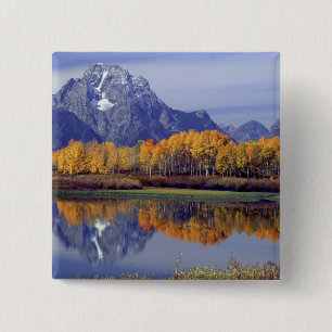 Macaron Carré 5 Cm États-Unis, Wyoming, Grand Teton National Park. Mt