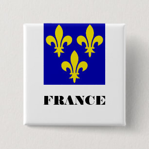 Macaron Carré 5 Cm Étendard Royal Français Médiéval Fidélité Héraldiq