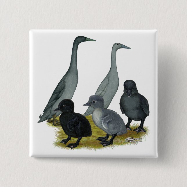 Macaron Carré 5 Cm Famille Blue Runner Duck (Devant)