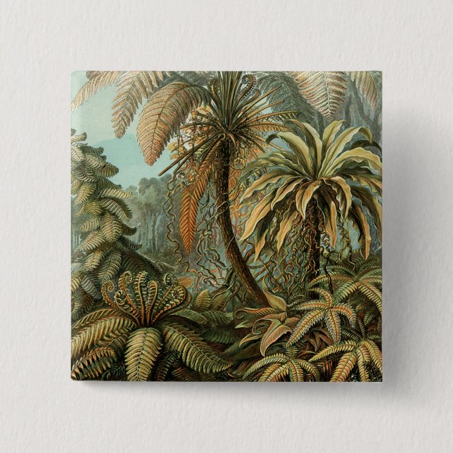 Macaron Carré 5 Cm Ferns Palm Tree Antiquité Botanique Ferns Art (Devant)
