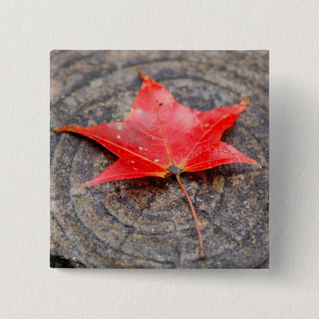 Macaron Carré 5 Cm Feuille d'automne sur le bouton Carré du journal (Devant)