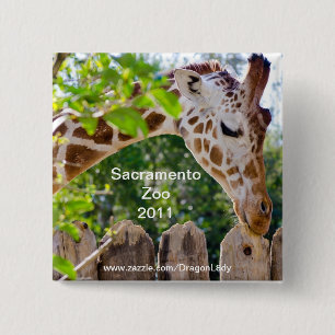 Macaron Carré 5 Cm Fiberlicious