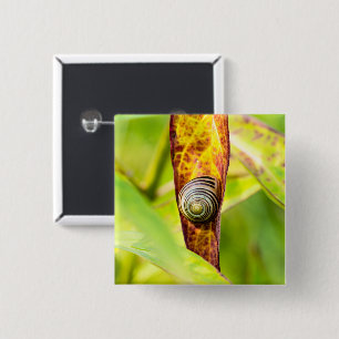 Macaron Carré 5 Cm fixation calme