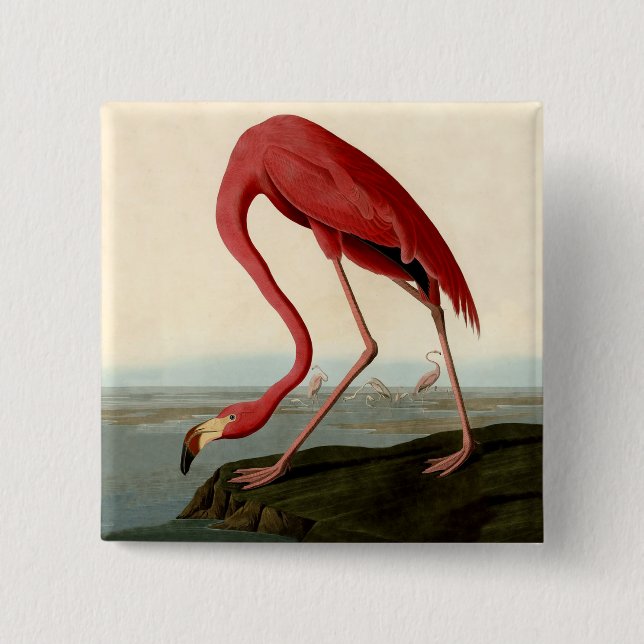 Macaron Carré 5 Cm Flamant rose américain d'Audubon (Devant)