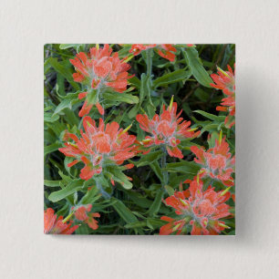 Macaron Carré 5 Cm fleurs sauvages indiens en pinceau dans les nombre