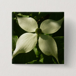 Macaron Carré 5 Cm Flore printanière du Dogwood illuminé