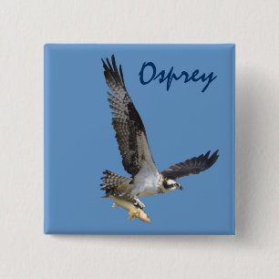 Macaron Carré 5 Cm Flying Osprey & Fish Wildlife Photography
