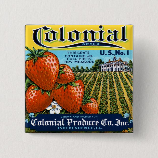 Macaron Carré 5 Cm Fraises coloniales (Devant)